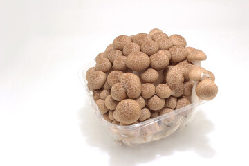 brown shimeji mushroom with plastic package