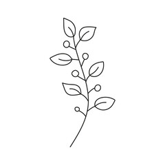 Hand drawn branch with leaves