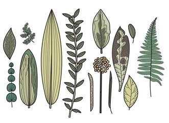 Set of floral ornaments. Leaves in vector, line drawing. Green leaves sticker pack. Black outlines on the leaves. Plant elements.