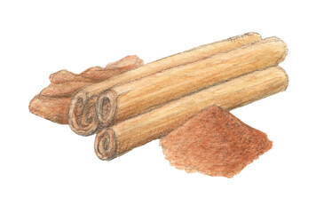 シナモン　水彩色鉛筆スパイスイラスト