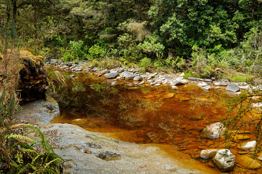 Slab Hut Creek near Reefton in Buller district.