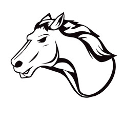 Horse Creative Design