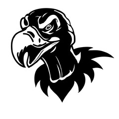 Vulture 