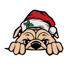 Santa Hat English Bulldog 