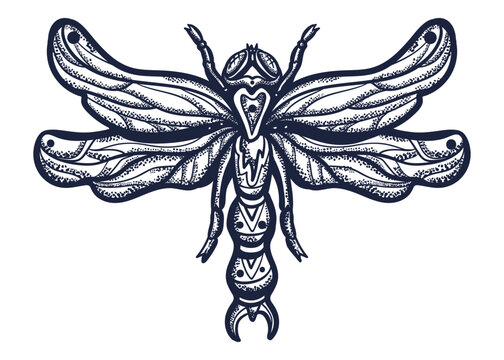 Dragonfly. Old school tattoo vector art. Hand drawn graphic. Isolated on white. Traditional flash tattooing style