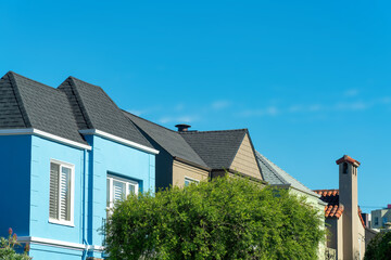 Row of colorful houses blue brown and white with front yard trees in the historic districts of san francisco california