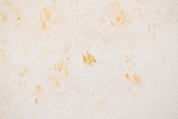 Cat footprint on the wall.  Old cream painted wall with cat footprint.  