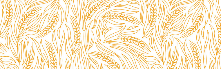 Cereal pattern background. Grains and ears of wheat, rye or barley. Wrapping paper for bread. Vector illustration. - 562334385