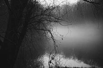 Foggy morning at lake landscape monochrome photo. Beautiful nature scenery photography with grey woods on background. Idyllic scene. High quality picture for wallpaper, travel blog, magazine, article