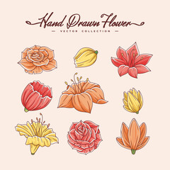 hand drawn beautiful flower collection