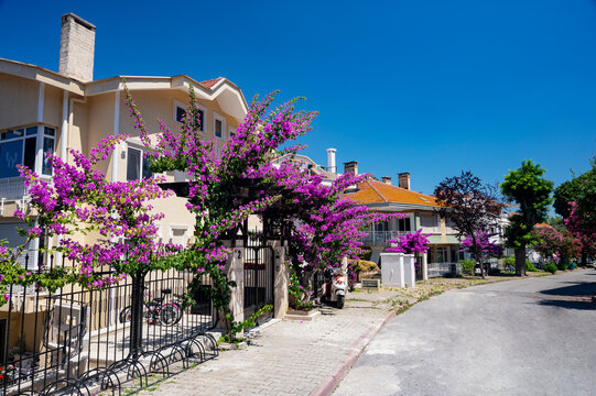 Beautiful street with old houses and gardens with flowers on Adalar Island on a sunny summer day,