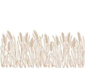 Ears of wheat rye or barley. Cereal agriculture field. Vector line. Editable outline stroke.