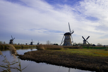 Naklejka premium iconic windmills in Kinderdijk Netherlands next to canal waterway flood management. Landmark buildings originally made to pump water out of low land polder to preserve land reclaimed from the sea