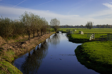 Fototapeta na wymiar Typical Dutch rural scenery showing the flat Netherlands. canal water is part of a flood management system for the polder which is land reclaimed from the sea and converted into arable farm fields