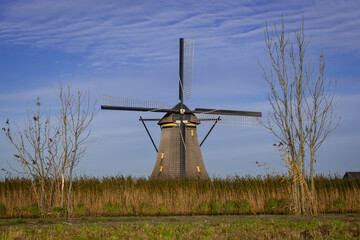 Fototapeta premium iconic windmills in Kinderdijk Netherlands next to canal waterway flood management. Landmark buildings originally made to pump water out of low land polder to preserve land reclaimed from the sea