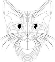 Vector coloring cat. Cute cat face. Coloring book for children.