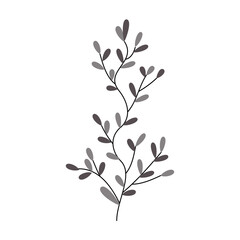 minimalist leaf illustration for vintage design ornament