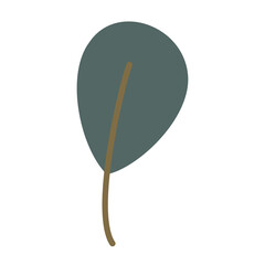 dollar leaf isolated