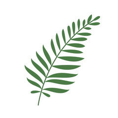 fern leaf isolated for vintage logo and ornament