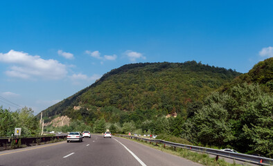 Travel in mountain view trees and sky 