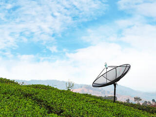 Satellite dish in green tea farm