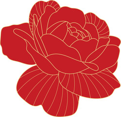 Oriental red peony flower