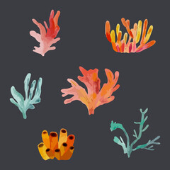 Colorful corals. Hand drawn watercolor vector illustration