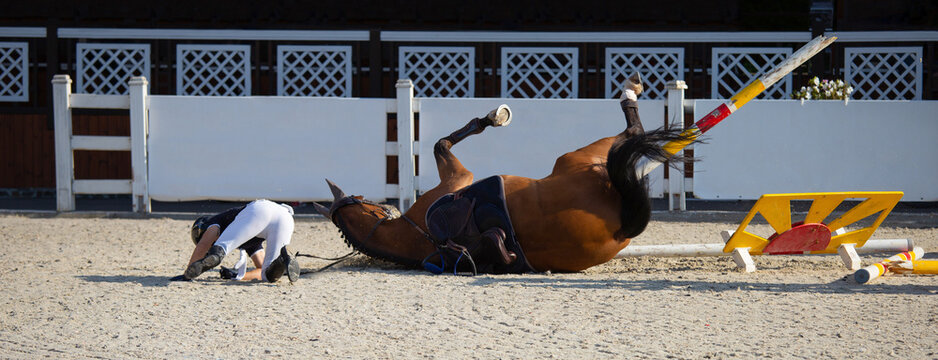 A rider falls from a horse during a show jumping competition. An equestrian accident. The rider and horse were not injured.