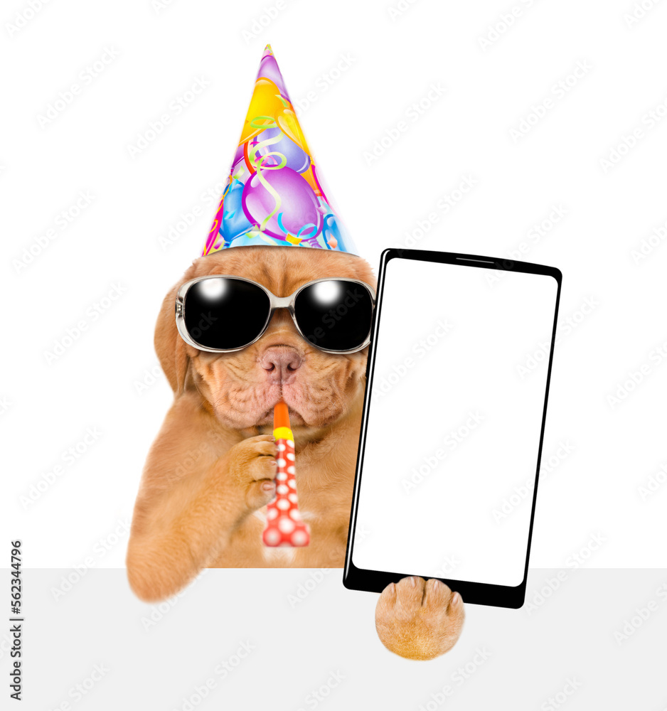 Poster mastiff puppy wearing sunglasses and party cap blowing in party horn holds big smartphone with white