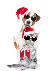 Happy Jack russell terrier puppy and funny cute kitten wearing sunglasses and santa hats standing together with gift box. isolated on white background