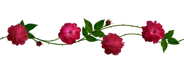 Red roses. Seamless pattern. Border. Green. Leaves. Flowers. Floral background. Buds.