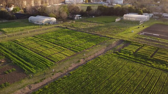 A dynamic aerial footage of the sunset over a vegetable plot farm in Agronomia, Buenos Aires. These are residential or community gardens where vegetables, herbs and fruit are grown for household use
