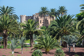 Fototapeta na wymiar Parque con palmeras y castillo en Los Realejos, en el norte de la isla de Tenerife, Canarias