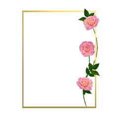 Pink roses. Beautiful flower. Bud. Floral background. Green leaves. Vector.