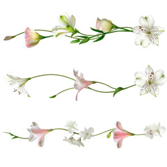 White flowers. Floral background. Green leaves. Eustoma. Lilies. Gladiolus.