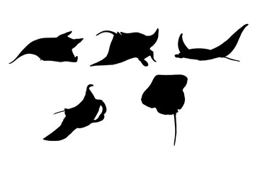 Set of silhouettes of manta ray vector design - obrazy, fototapety, plakaty