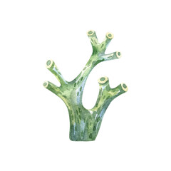 Obraz premium underwater elements, watercolor marine collection in watercolor