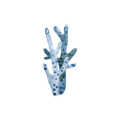 underwater elements, watercolor marine collection in watercolor © Ilona