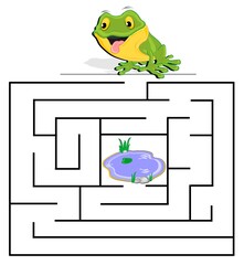 labyrinth wirh frog