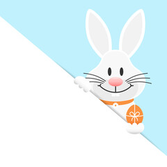 Weißer Osterhase Mit Osterei Banner Diagonal Himmel