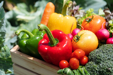 Wooden crate filled with fresh organic vegetables .