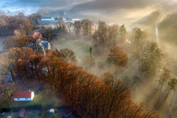 Mgła i promienie słońca przebijające się przez drzewa - widok z drona - obrazy, fototapety, plakaty