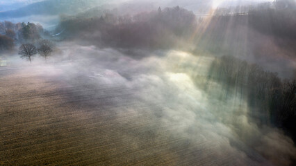 Mgła i promienie słońca przebijające się przez drzewa - widok z drona