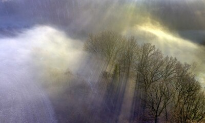 Mgła i promienie słońca przebijające się przez drzewa - widok z drona - obrazy, fototapety, plakaty