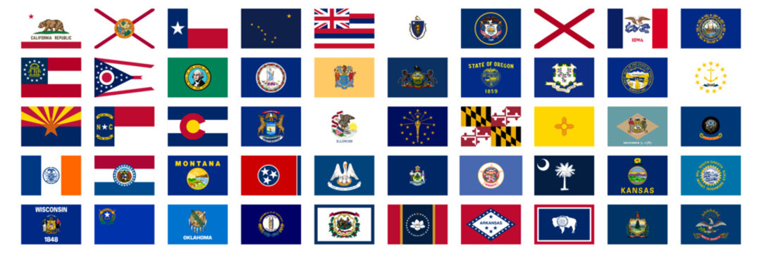 Flags of all US states. Vector set of rectangular icons.