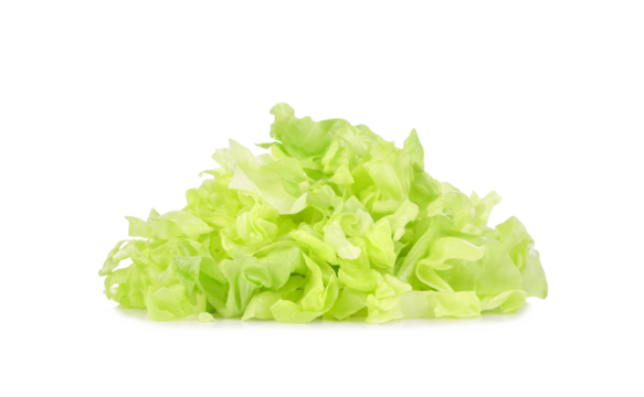 Heap of sliced green lettuce isolated on transparent background. PNG