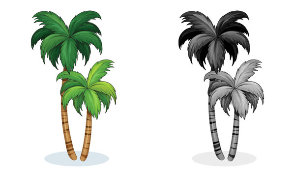 Tropical Palm Trees, Bright tropical decoration. Vector flat style cartoon palm illustration isolated on white background