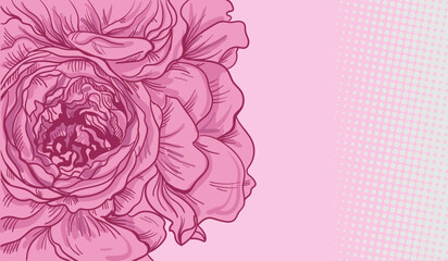 Pink flower background