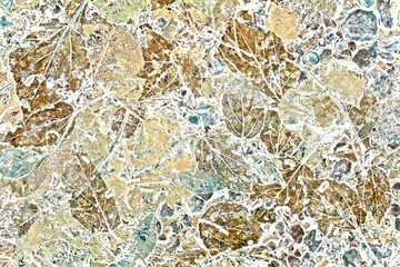 Fallen leaf texture material like marble crack pattern.