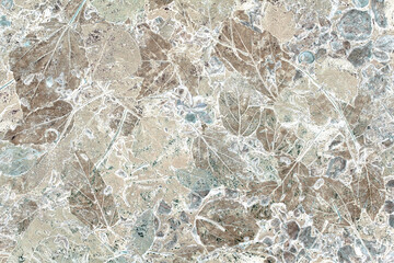 Fallen leaf texture material like marble crack pattern.